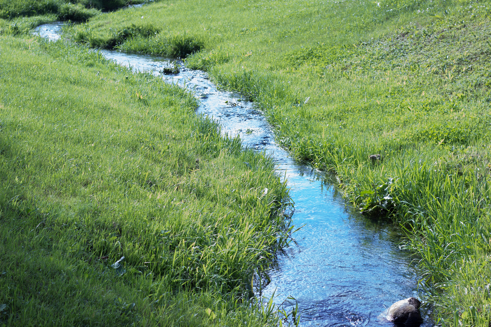 Creek